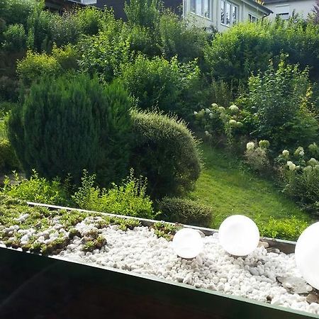 Ferienwohnung Am Paradies Bad Lauterberg Ruang foto