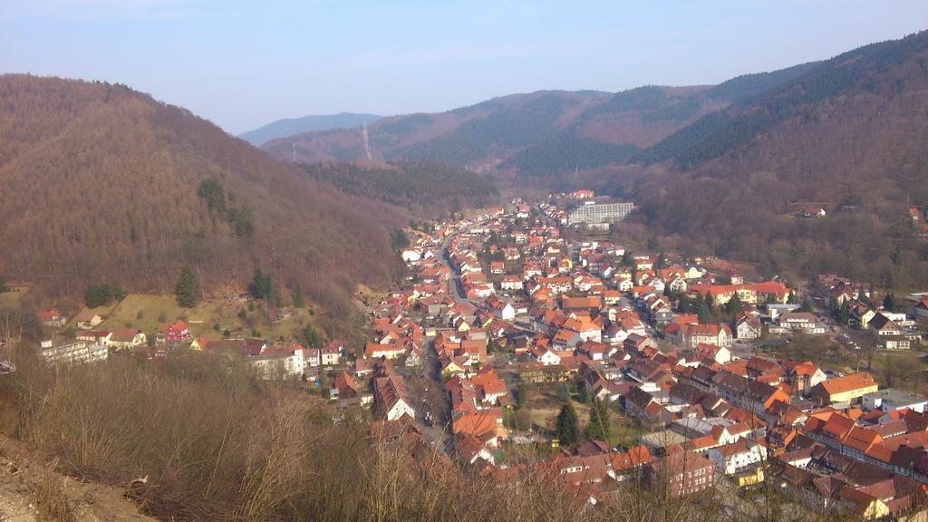 Ferienwohnung Am Paradies Bad Lauterberg Bagian luar foto